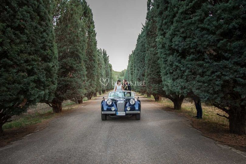 L&P Fotografía