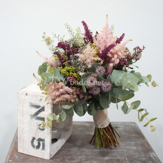 Flores Feliu