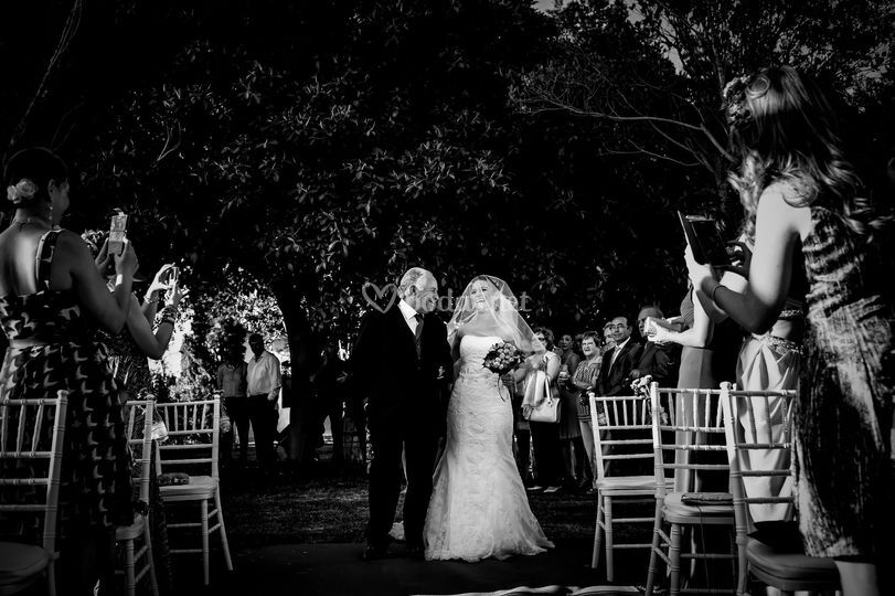AlbertoSagrado Photographer
