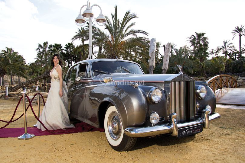 Jjdluxecars Valencia