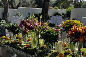 Las Bodas de Zuhayra