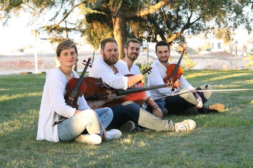Alla Corda Eventos