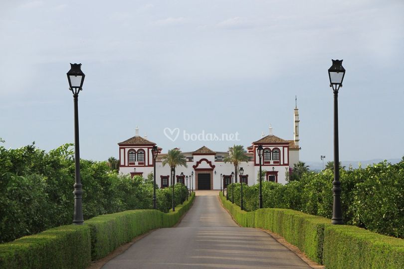 Hacienda Timoteo