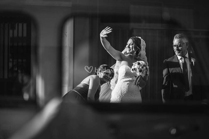 Serendipity - Fotografía