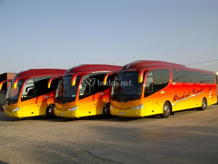 Autobuses Ciudad Lineal