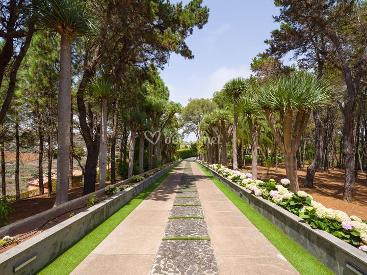 Finca los Pinos