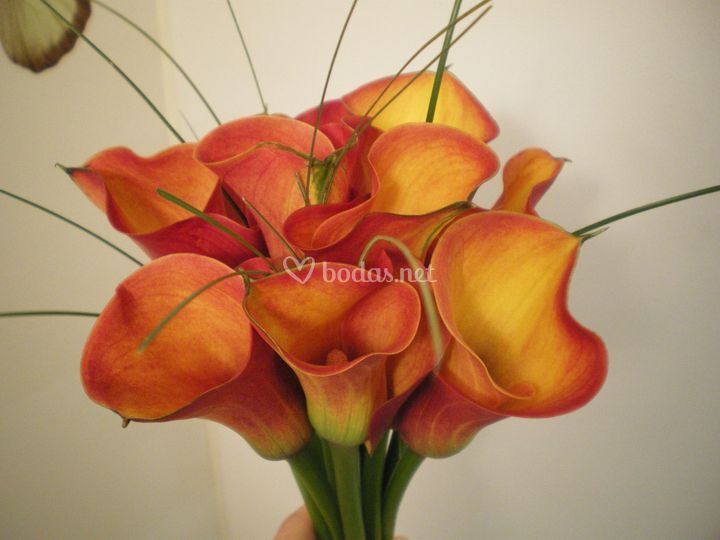 Arte Floral Lafabre
