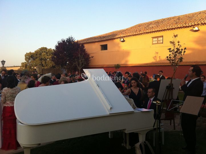 Viva Voz & Friends