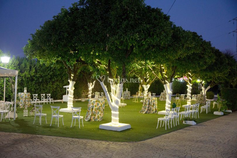 Catering Grupo Alboreá