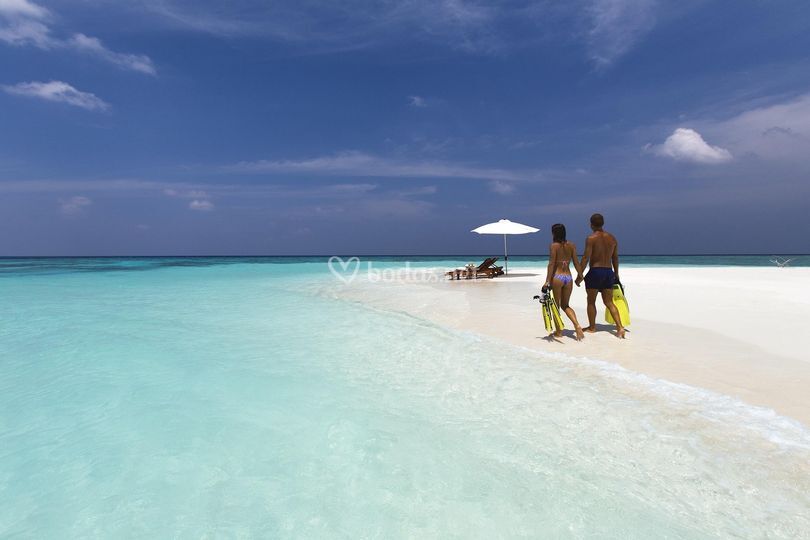 Viajes Piquero Azul