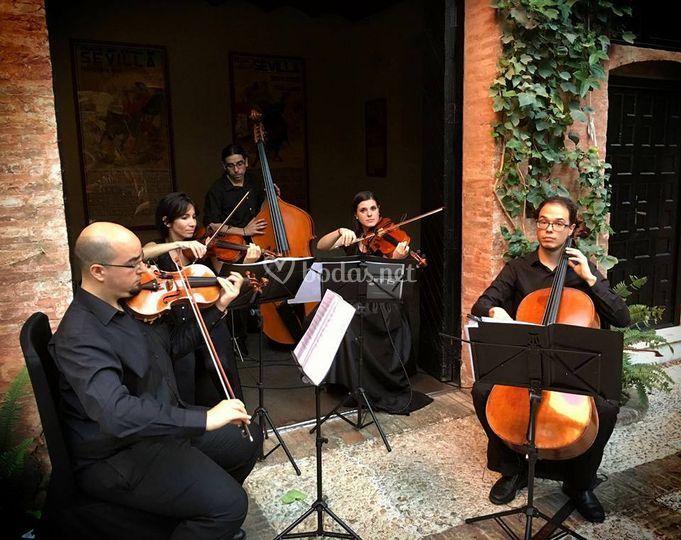 MusicoSevilla
