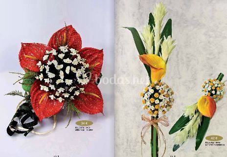 Pepa Medina Bodas