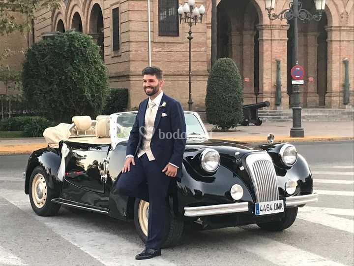 Magistral Royal Cars