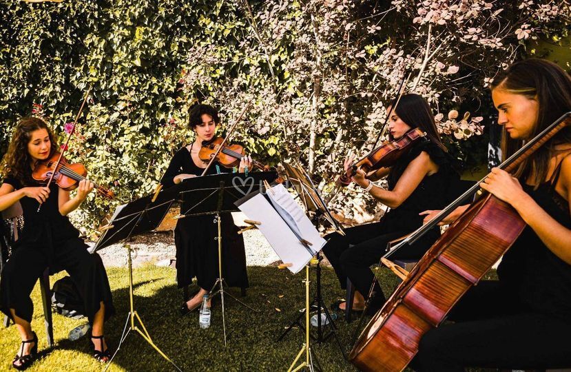 Cuarteto Keltiberoi