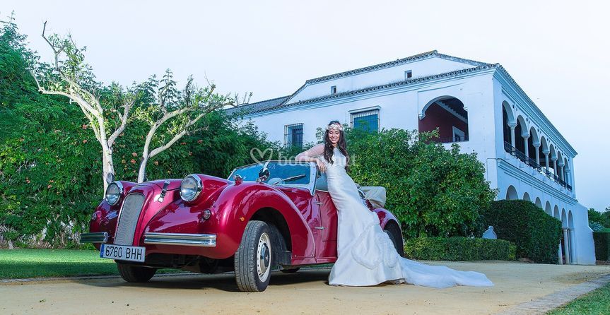 Magistral Royal Cars