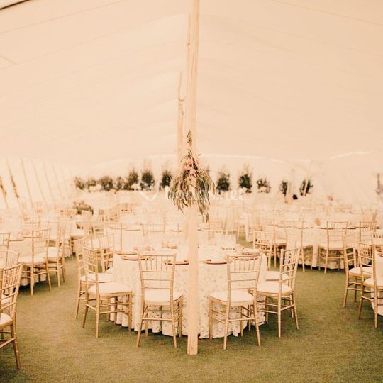 Organiboda