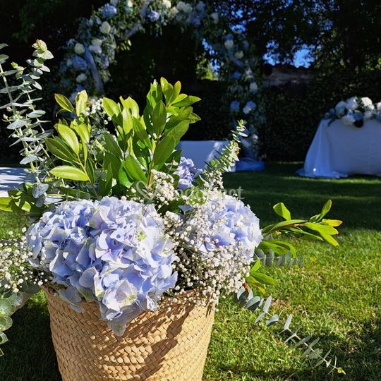Gardenia - Florista y Decoración