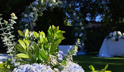 Gardenia - Florista y Decoración