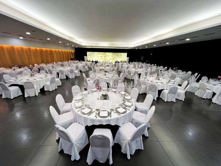 aQua - Hotel Luz Castellón