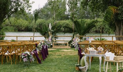 Violet's Weddings