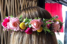 Zinnia Flors