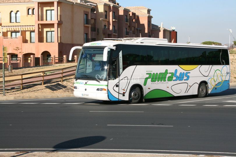 Puntabus