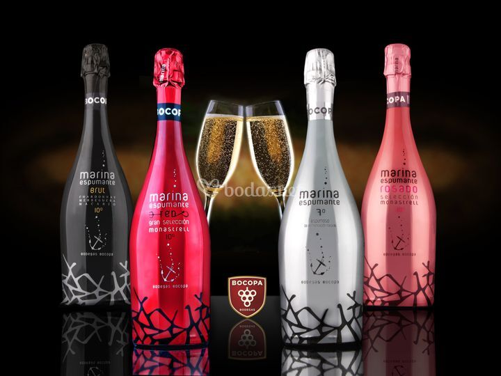 Bodegas Bocopa