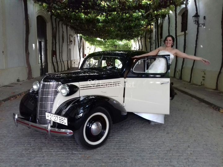 Albeva Classic