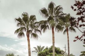 Rex Natura - Grupo Rex