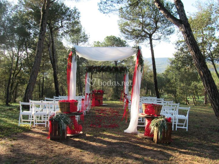 Art Floral Can Remolins