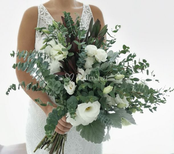 Olmedo Floristería