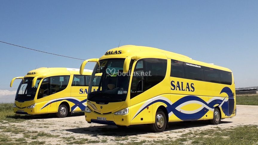 Autocares Salas