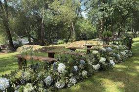 Soriales - Arte floral