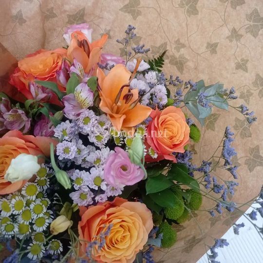 Floristería Salviflor