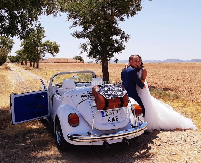 Beetle Love