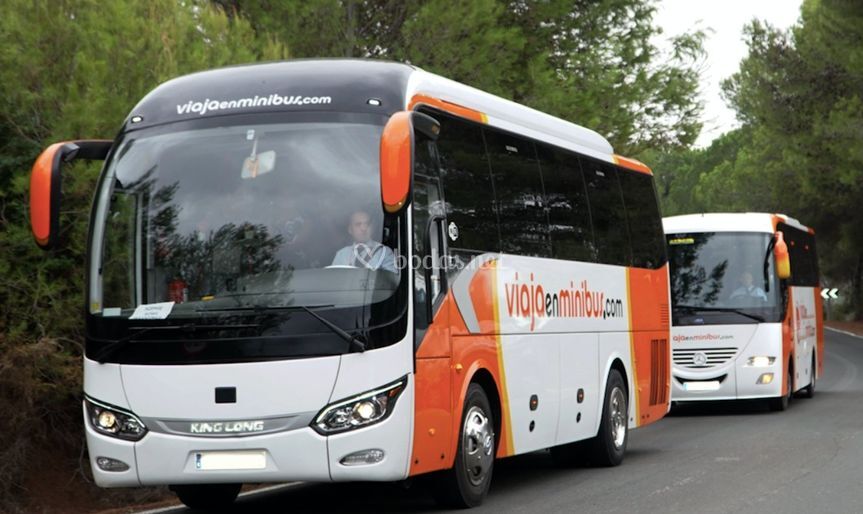 Viaja en minibus