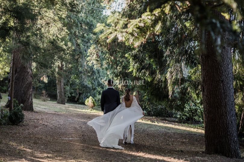 Punctum Fotografía