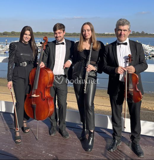 Cuarteto Schubert