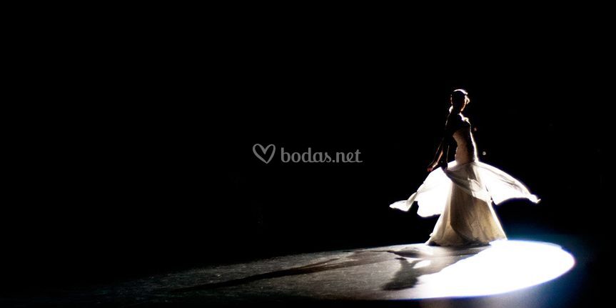 Tony Romero Photographer