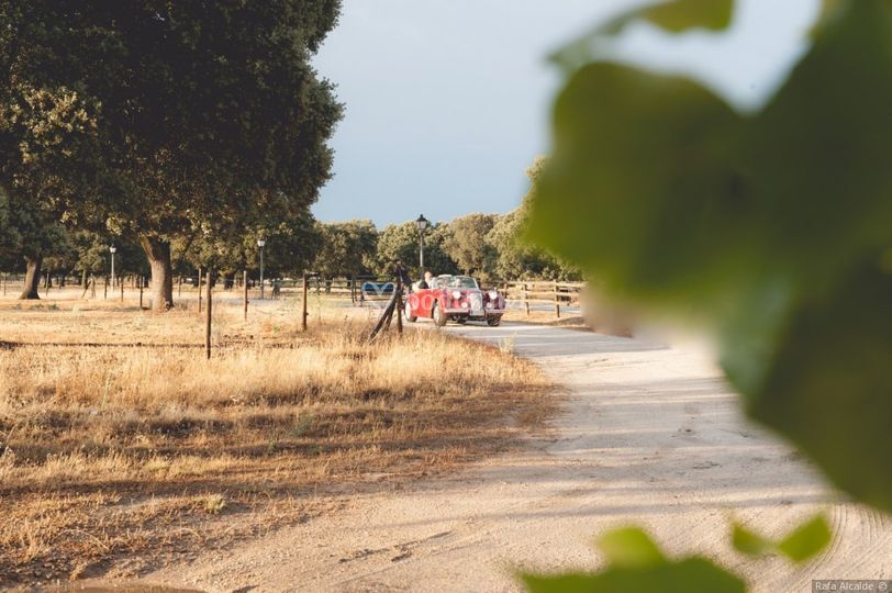 Finca Cortijo El Gallinero