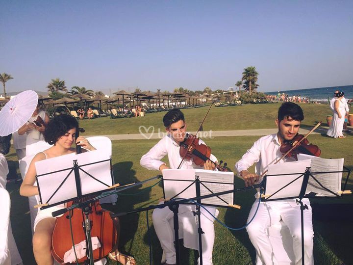 MezzoMúsica