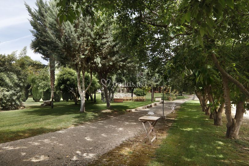 MasFarré Lleida
