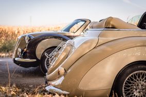 Dream Cars