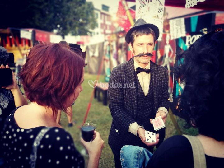 Domi Circo