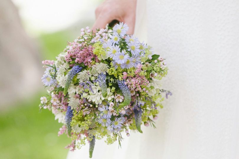 Loving Lavanda