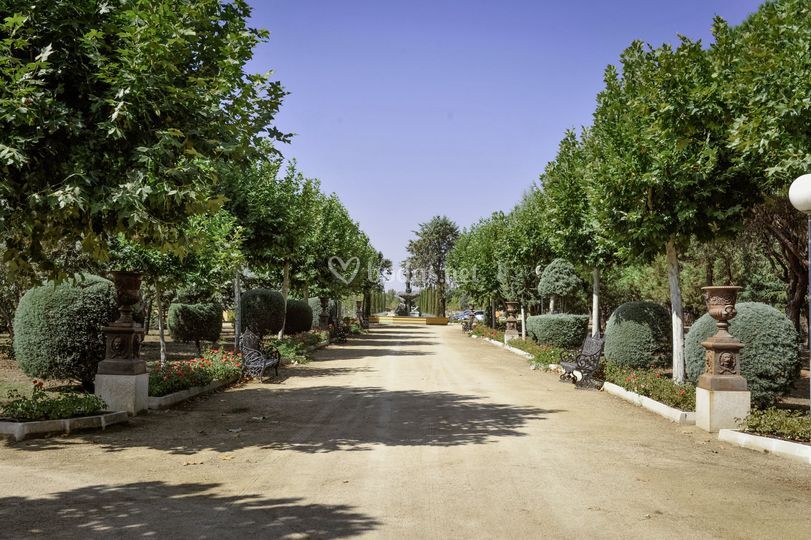 Finca El Albero