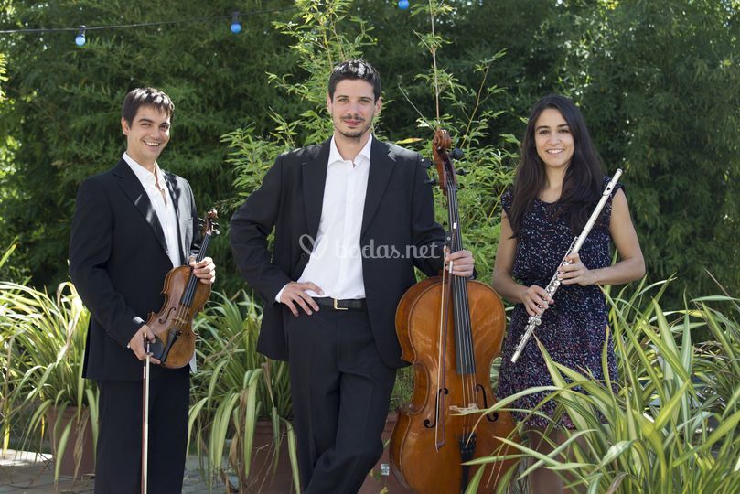 Ligna Música