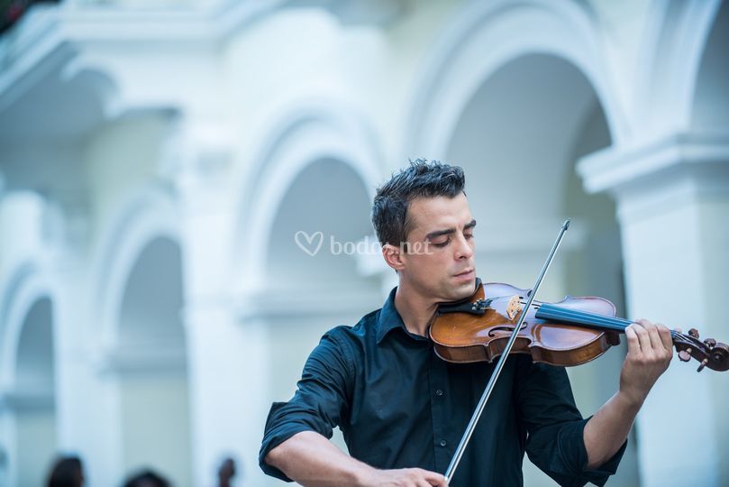 Antton Violinist