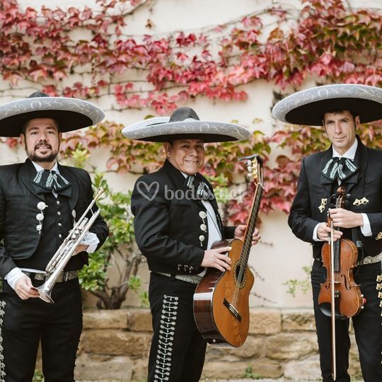 Mariachi Mexicano Tierra de Oro