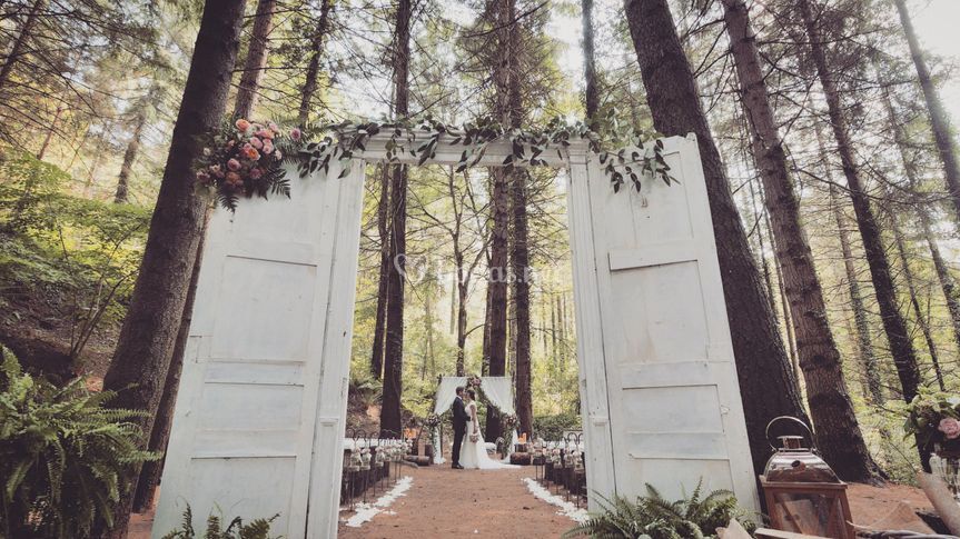 Wedding Filmmaker